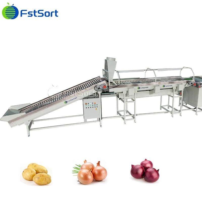 Onion Size Sorter Fstsort Onion Grading Equipment Onion Grader For Sale price